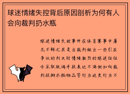球迷情绪失控背后原因剖析为何有人会向裁判扔水瓶
